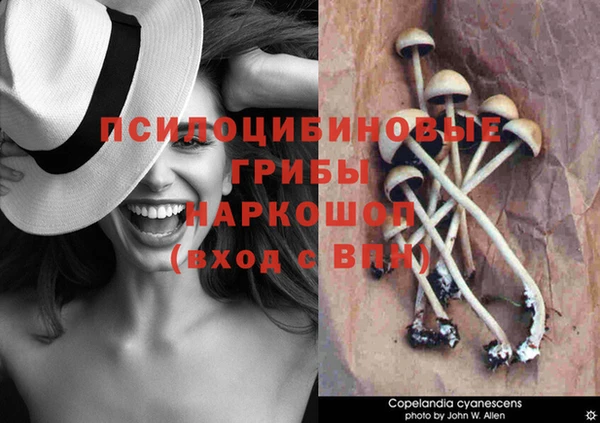 дмт Переславль-Залесский