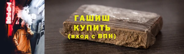 дживик Инта