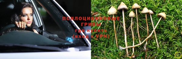 меф Пересвет