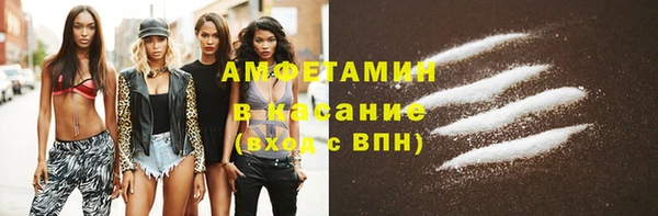 меф Пересвет