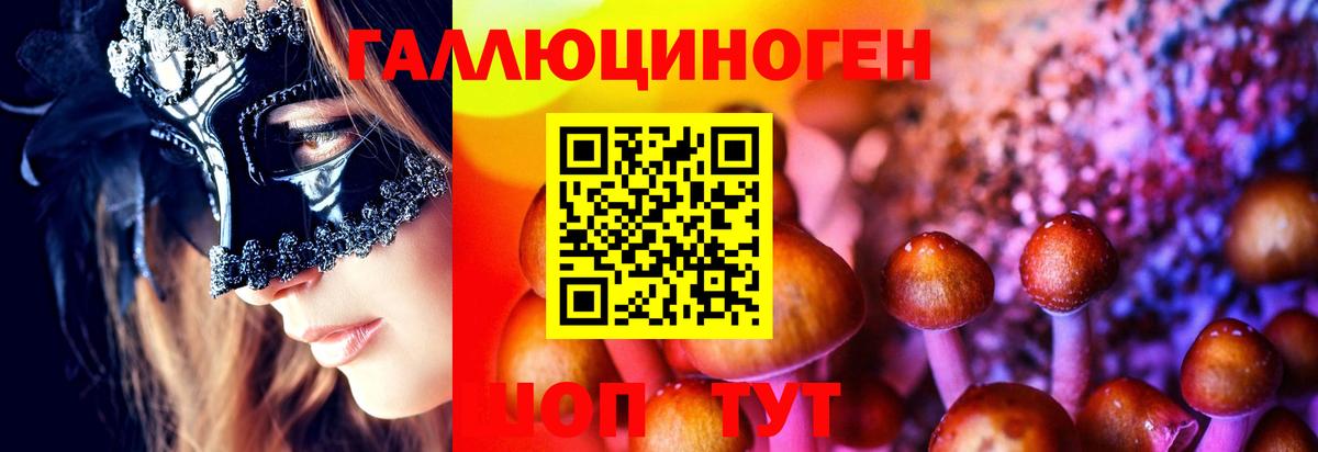 Галлюциногенные грибы Cubensis  Вход с VPN  Галлюциногенные грибы мицелий  Луховицы 